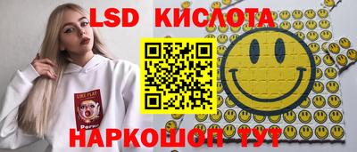 a pvp Камышлов