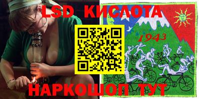 a pvp Камышлов