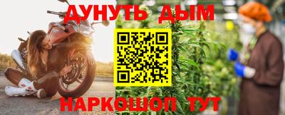 a pvp Камышлов
