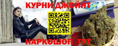 a pvp Камышлов
