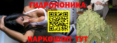 a pvp Камышлов