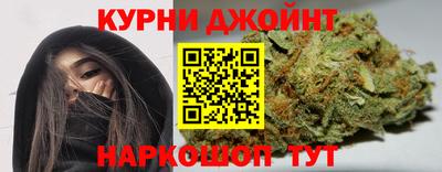 a pvp Камышлов