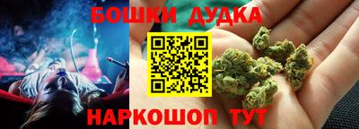 a pvp Камышлов