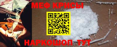 a pvp Камышлов