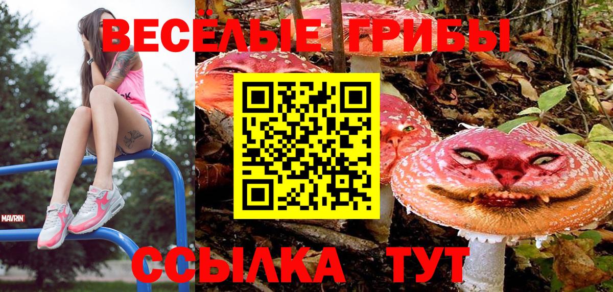 Псилоцибиновые грибы прущие грибы  Вход с VPN  Южноуральск 