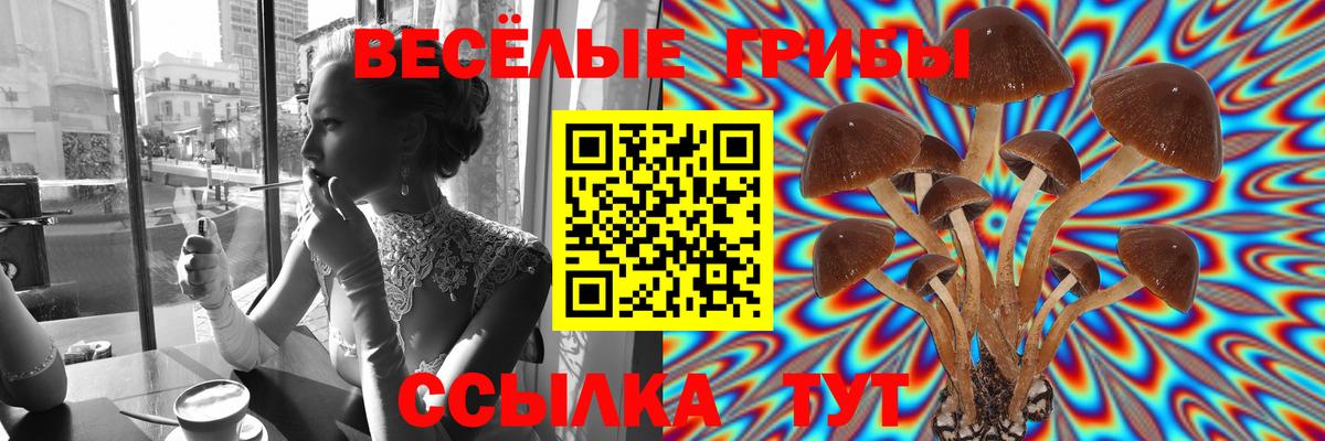 Галлюциногенные грибы MAGIC MUSHROOMS Южноуральск